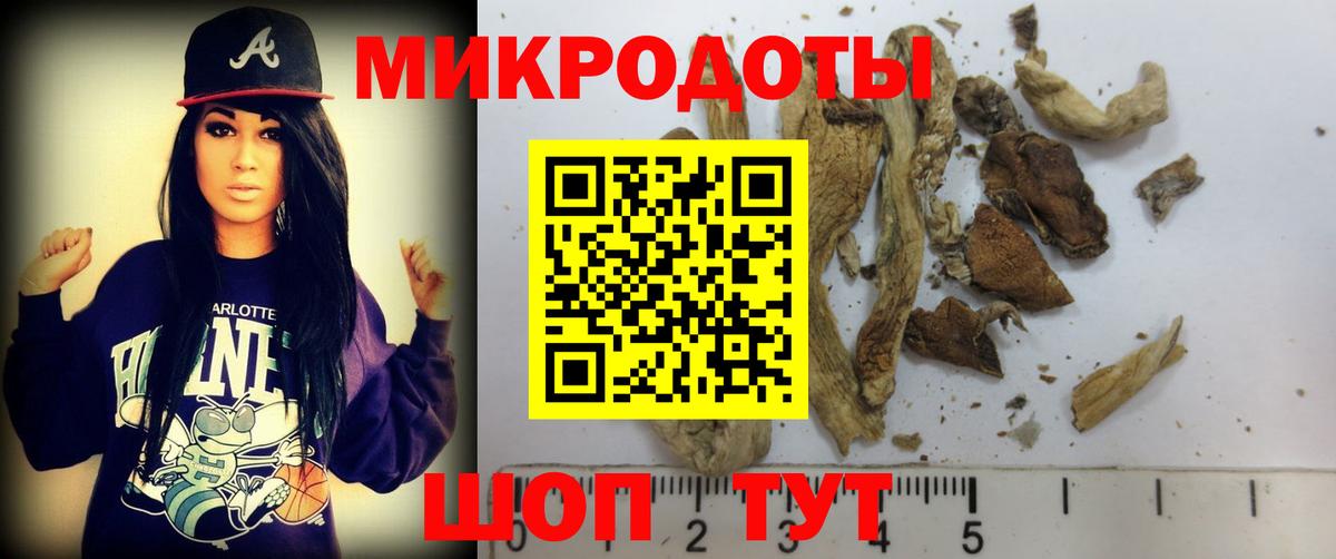Галлюциногенные грибы GOLDEN TEACHER  Вход с VPN  Красногорск 